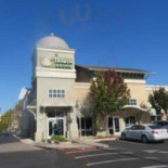 Panera Bread