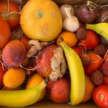 La Era Ecológica