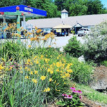 Newfound Country Store