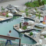 Koi Gartenteich
