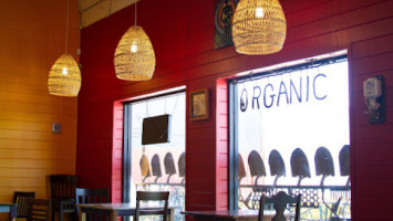 Pacha Organic Cafe