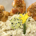 Jungle Café Anglet – à Tapas Concerts Live Music Night Club