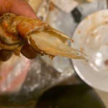 Bag O' Crab