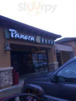 Panera Bread