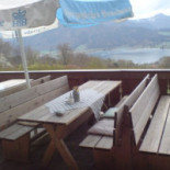 Bergschwalbe