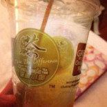 Tea Ginseng