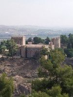 El Cardenal Del Alcazar