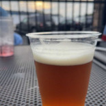 The Greene Turtle