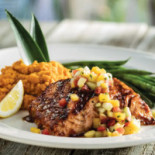Bahama Breeze