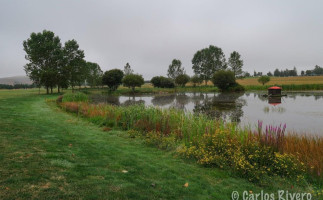 Campo De Golf Nestares