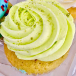 Molly's Cupcakes