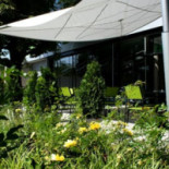 Café Ginkgo