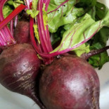 Vitality Juicery