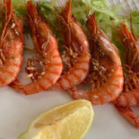 Casa Tonin
