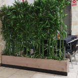 Aroma Café