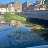 The Bridge Tap