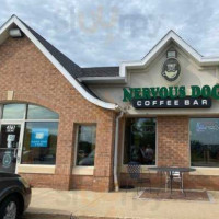 Nervous Dog Coffee Akron