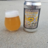 Magnet Brewing