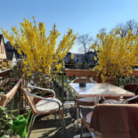 Café Schloss Fechenbach