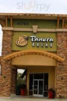 Panera Bread