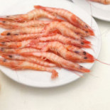 La Taskita Del Rompido