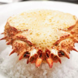 Bistro Fatal