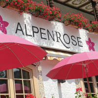 Alpenrose