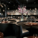 STK Steakhouse