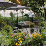 211 Clover Lane Restaurant