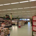 Star Osco Dedham (136)