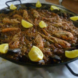 Can Magi Vidreres
