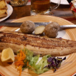 Abora