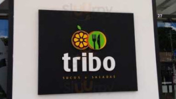 Tribo Sucos Saladas