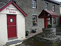 Ffynnone Arms