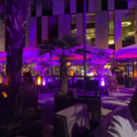 Palm Beach Stuttgart