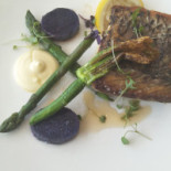 Oliveto