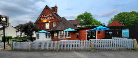 Coach Horses