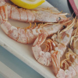 La Mar Salá