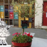 The Story Cafe