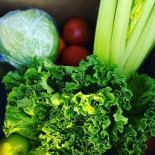 The Salad Shop