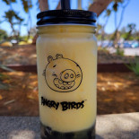Bearology