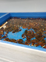 Fresh Pond Seafood