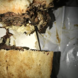 Front Page Deli