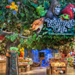 Rainforest Cafe
