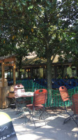 Les Magnolias