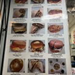 Kelly’s Deli