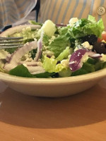 Olive Tree Mediterranean Grill
