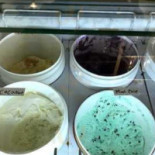 Arctic Scoop
