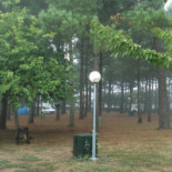 Fraga Balada