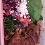 Quinoa Kitchen